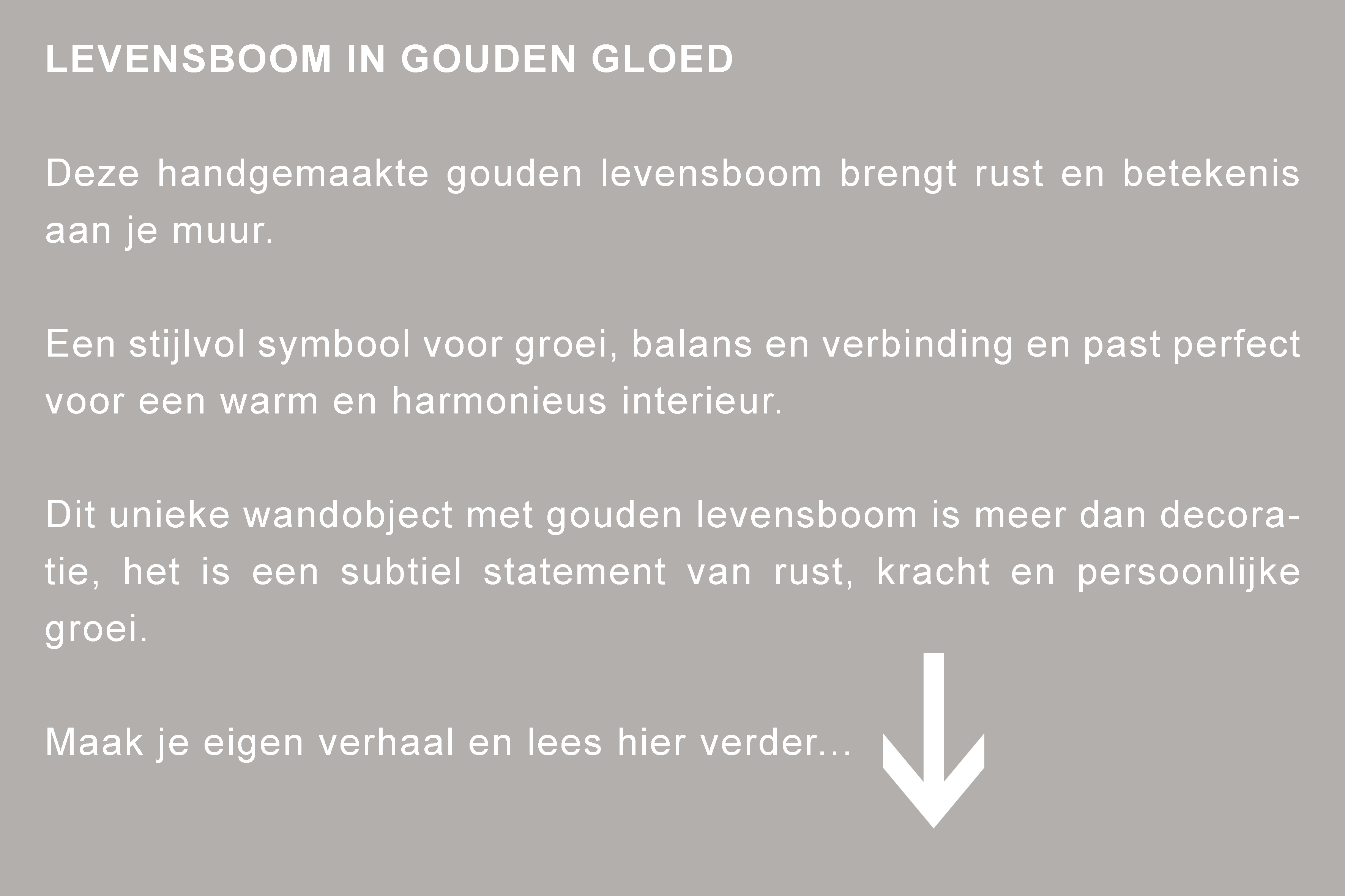Tweede afbeelding